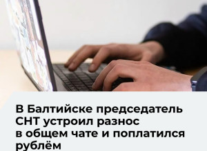 Главу СНТ в Калининградской области оштрафовали за оскорбление дачника в чате