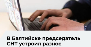 Главу СНТ в Калининградской области оштрафовали за оскорбление дачника в чате