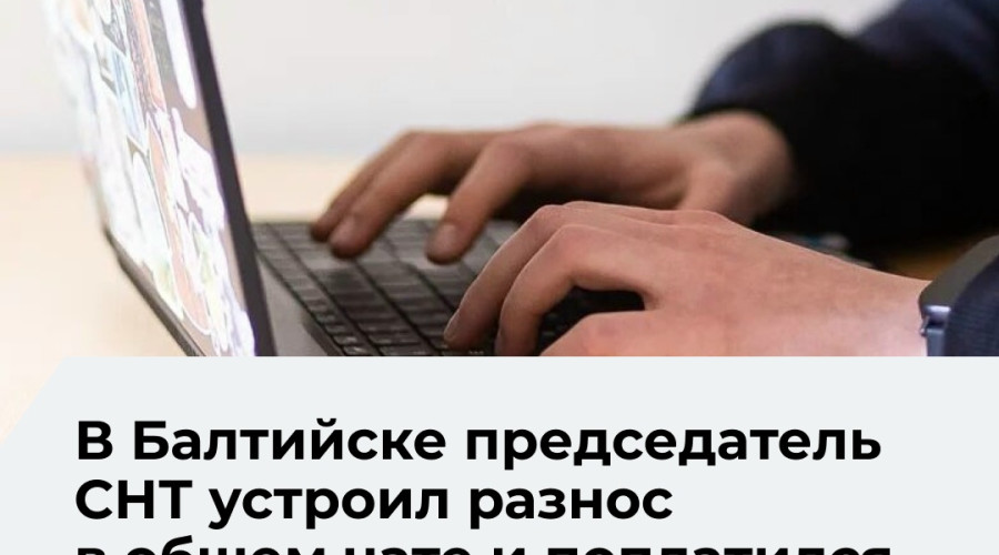 Главу СНТ в Калининградской области оштрафовали за оскорбление дачника в чате