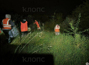 В Калининградской области нашли тело 16-летнего подростка: волонтёров приняли за закладчиков