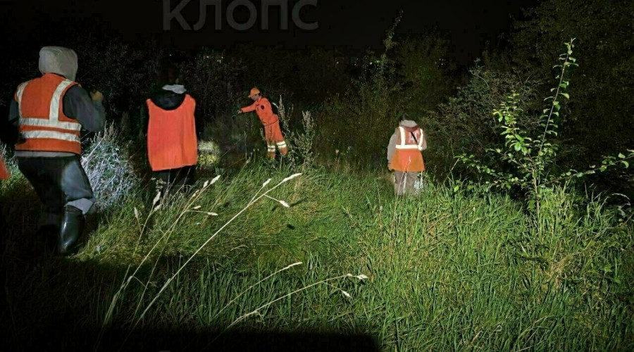 В Калининградской области нашли тело 16-летнего подростка: волонтёров приняли за закладчиков