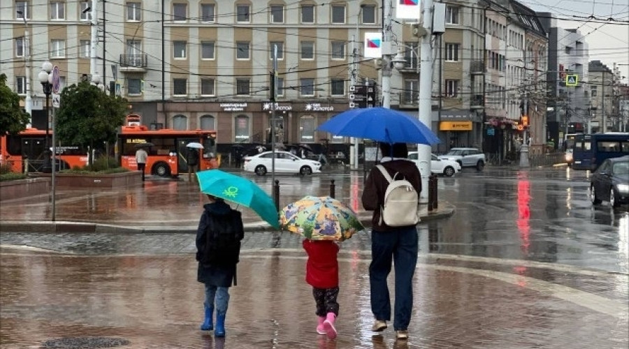 Синоптики прогнозируют дождливую и прохладную неделю в Калининградской области
